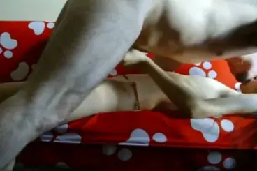 ABG Bispak Jakarta ML Hotel Sampe Memek Banjir